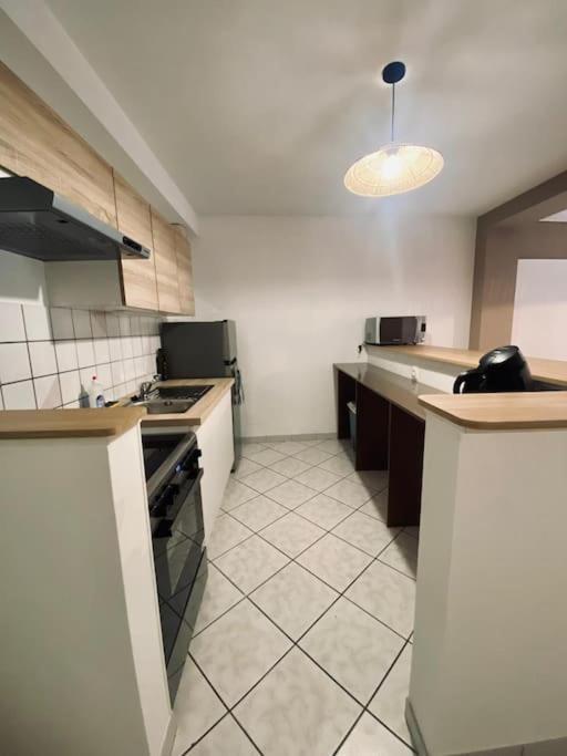 Appartement Au Centre-Ville Avec Cour Langres Zewnętrze zdjęcie