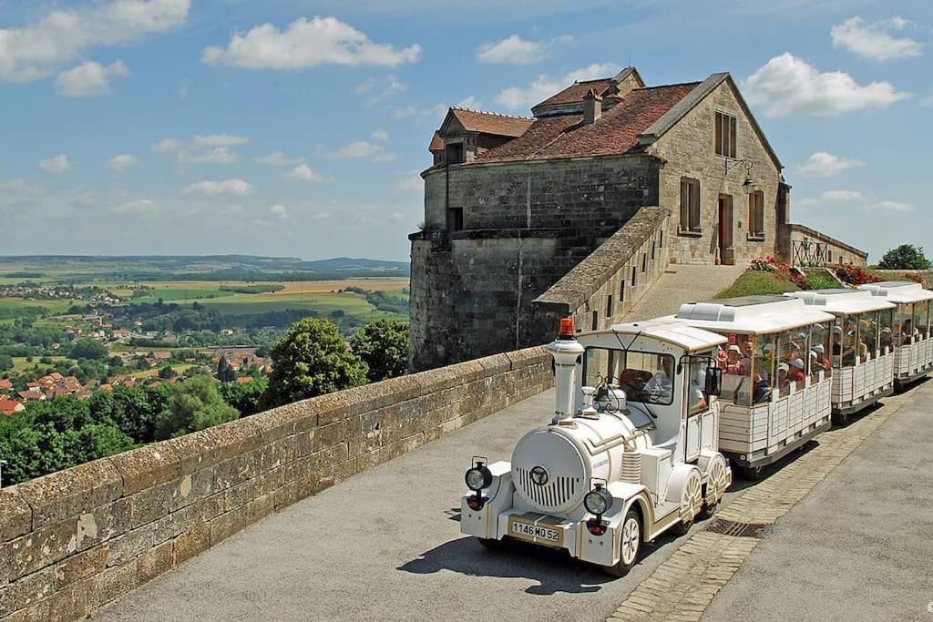 Appartement Au Centre-Ville Avec Cour Langres Zewnętrze zdjęcie